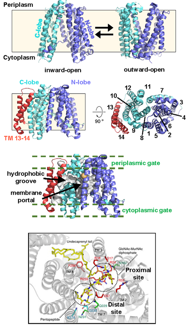 Figure 6.