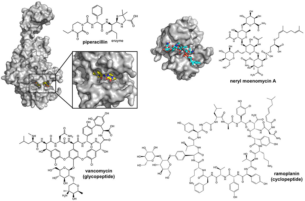 Figure 11.