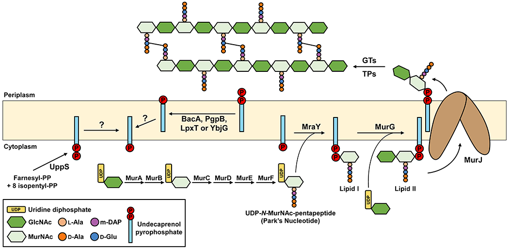 Figure 3: