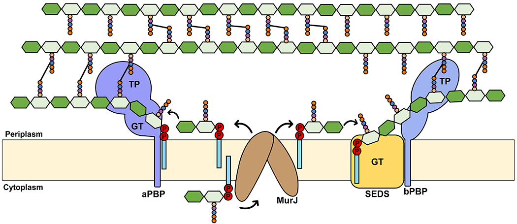 Figure 9.