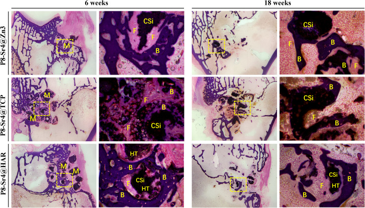 Fig. 9