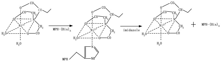 Scheme 2.