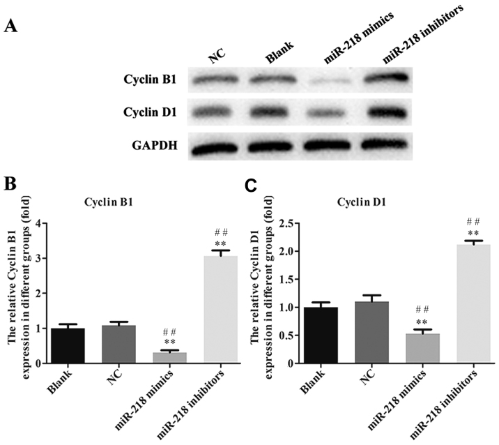 Figure 6.