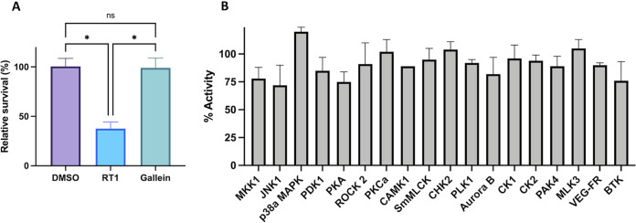 FIG 6