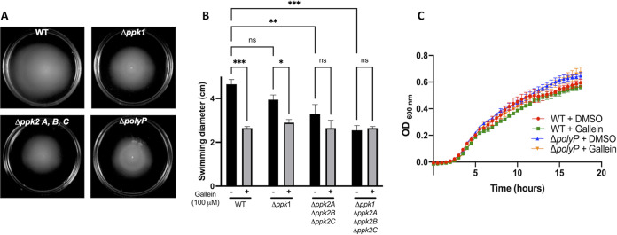 FIG 3