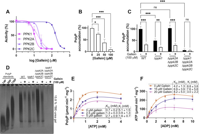 FIG 1