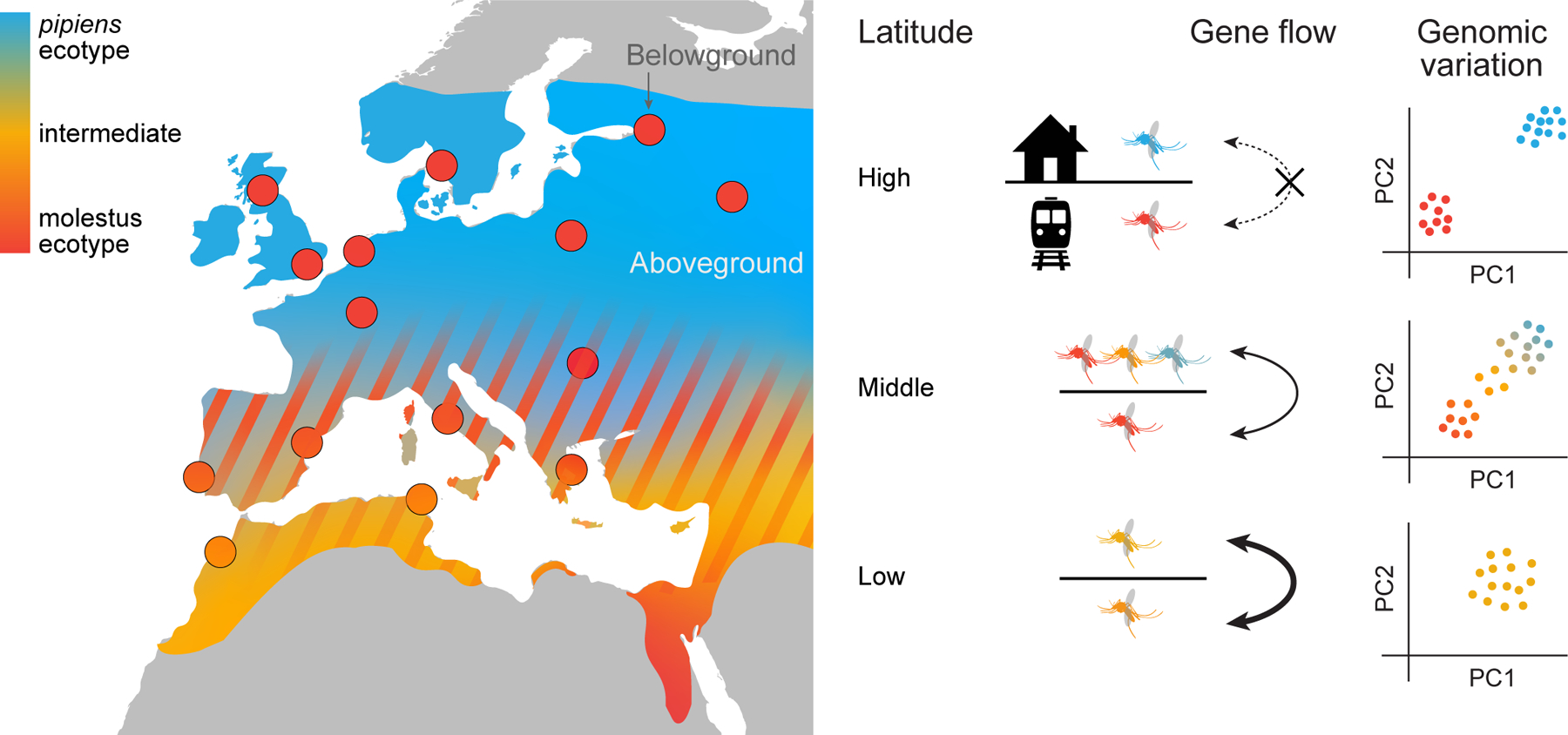 Figure 6.