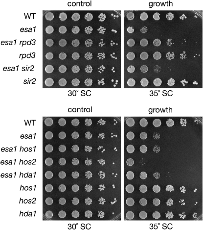 Figure 1.—