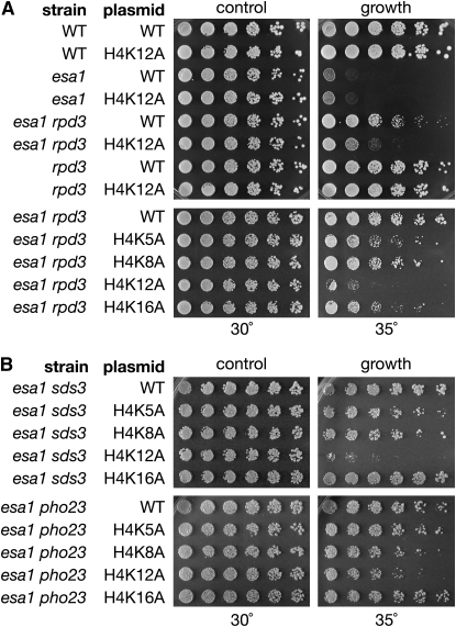 Figure 6.—