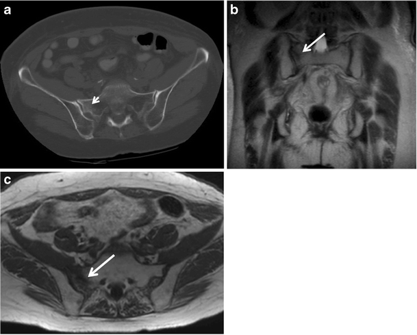 Fig. 8