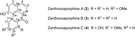 graphic file with name Beilstein_J_Org_Chem-09-447-i001.jpg