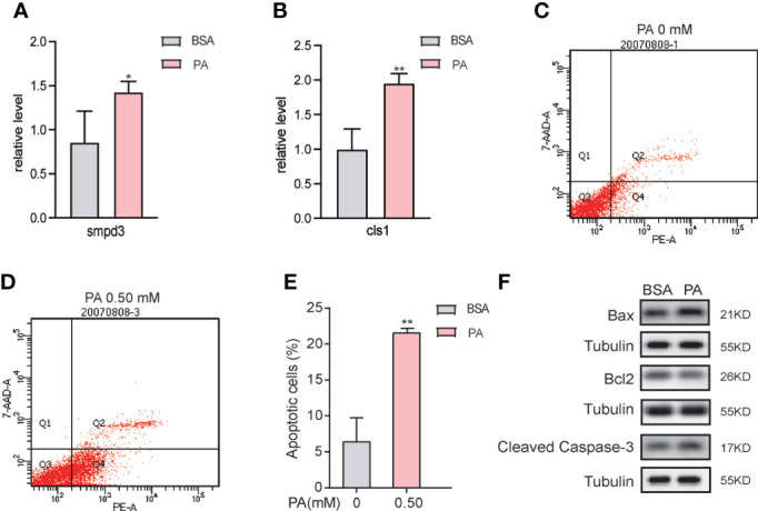 Figure 6