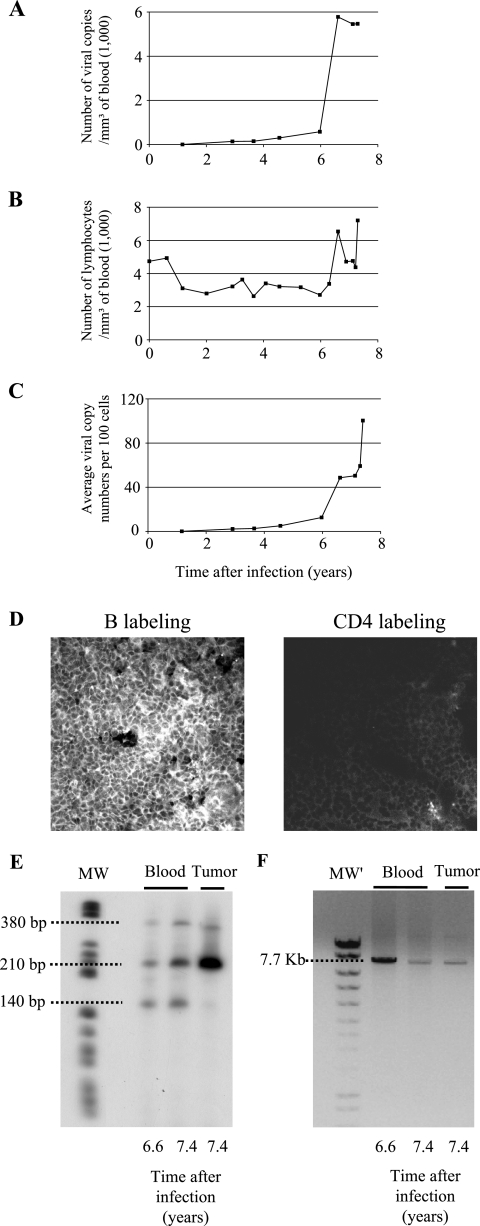 FIG. 1.