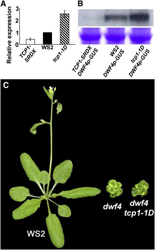 Figure 6.