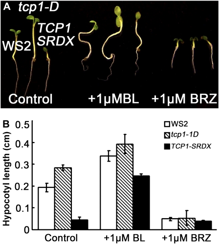 Figure 4.