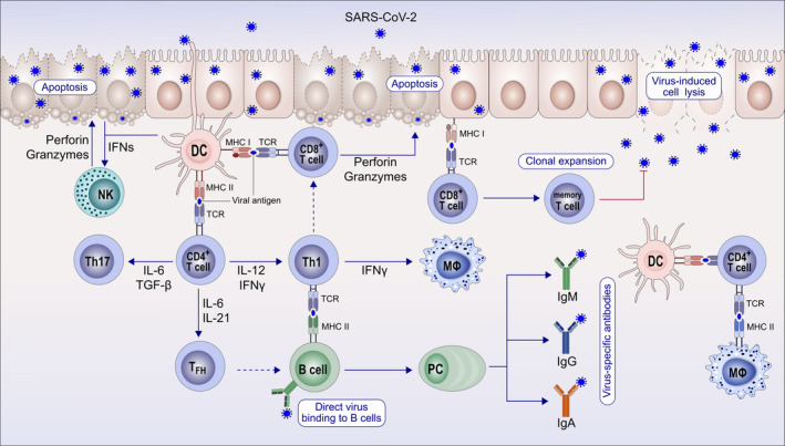 Figure 5