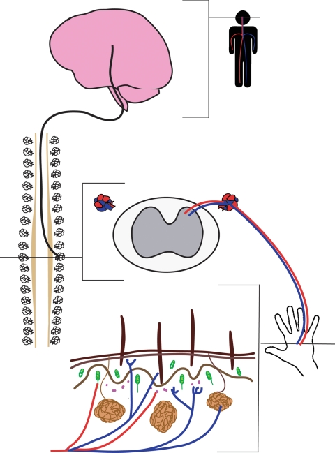 Figure 1.