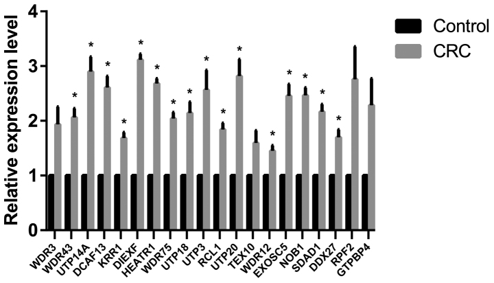 Figure 5.