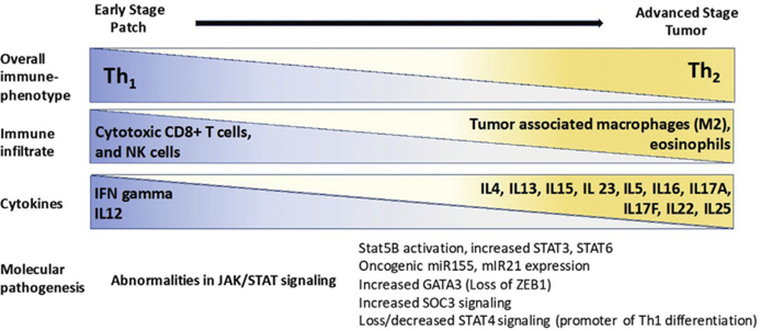 Fig. 10.