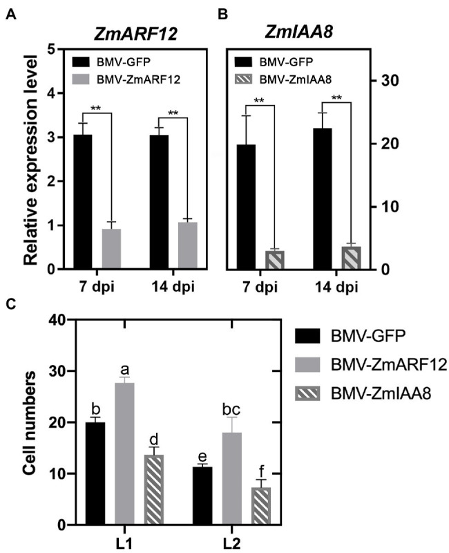 Figure 5