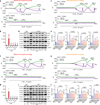 Fig. 6: