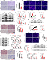 Fig. 4: