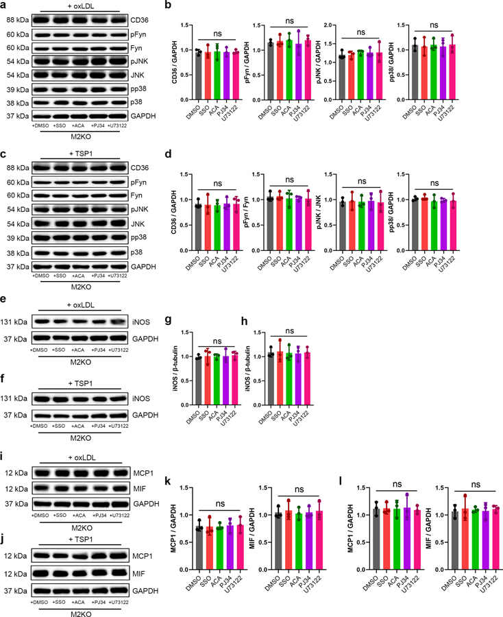 Extended Data Fig. 7