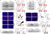 Fig. 5: