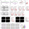 Fig. 2: