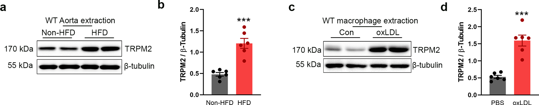 Extended Data Fig. 2