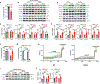 Extended Data Fig. 4