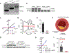 Extended Data Fig. 1