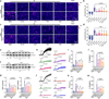 Fig. 7: