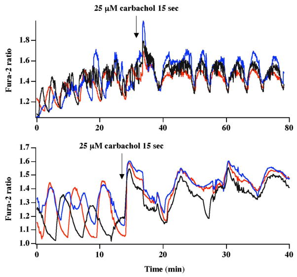 Figure 6