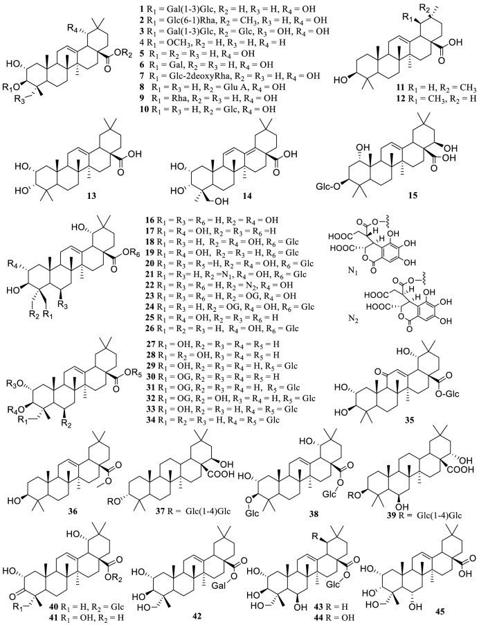 Fig. 1