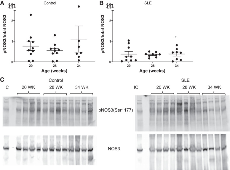 Fig. 8.