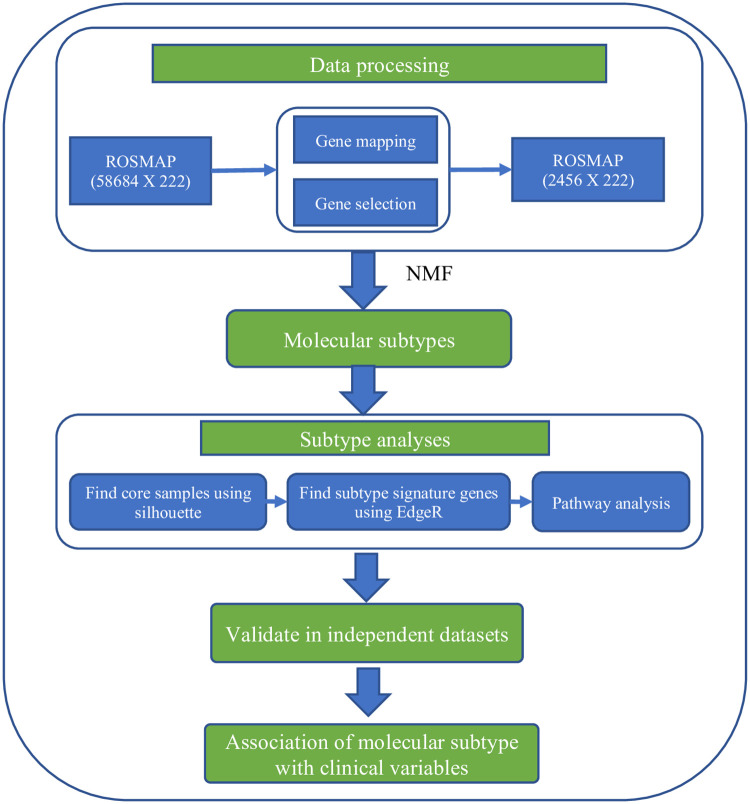 Fig 1