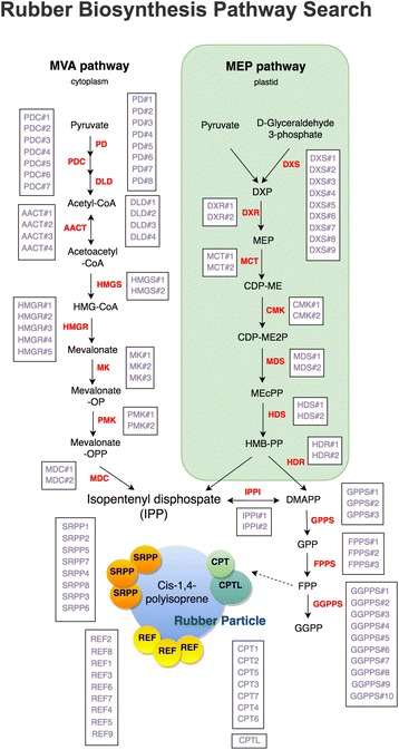 Fig. 6