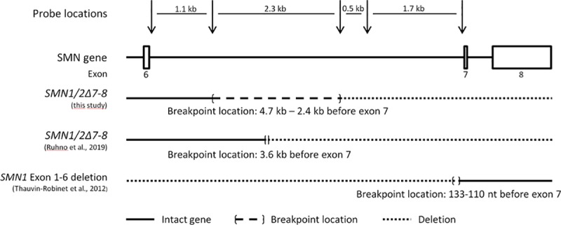 Fig 2