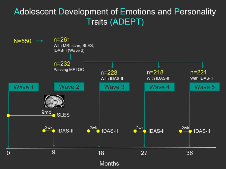 Figure 1 Caption: