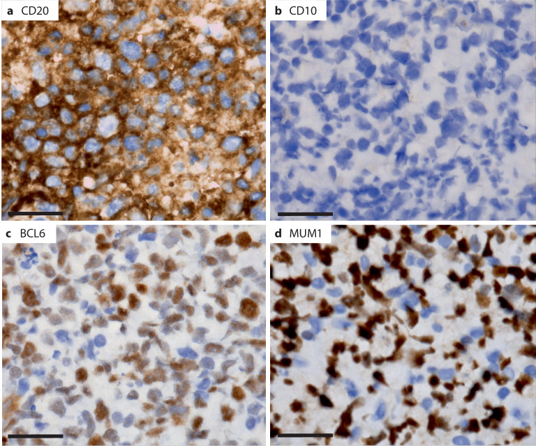 graphic file with name 761_2021_983_Fig1_HTML.jpg