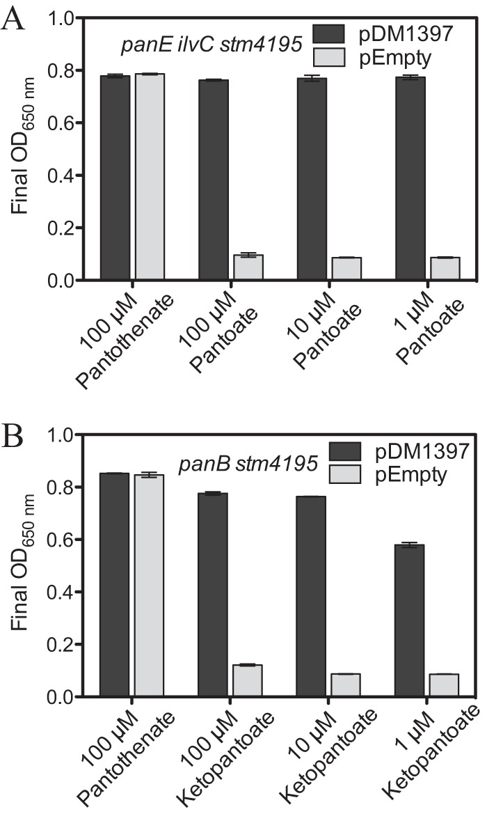 FIG 6