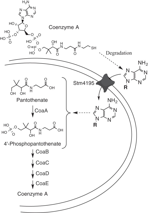 FIG 10