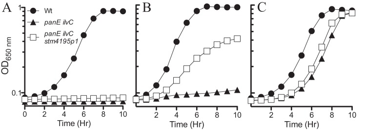 FIG 2