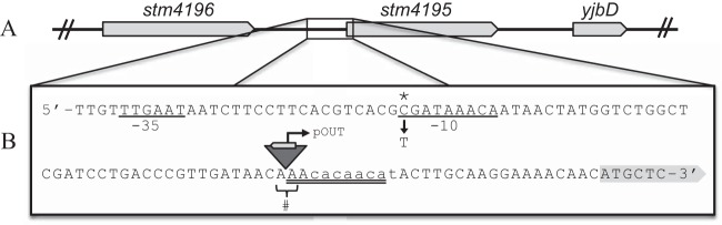 FIG 3