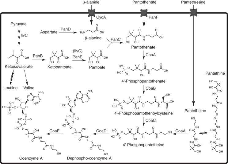 FIG 1