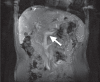 Figure 1)