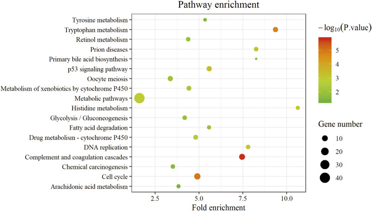 FIGURE 4