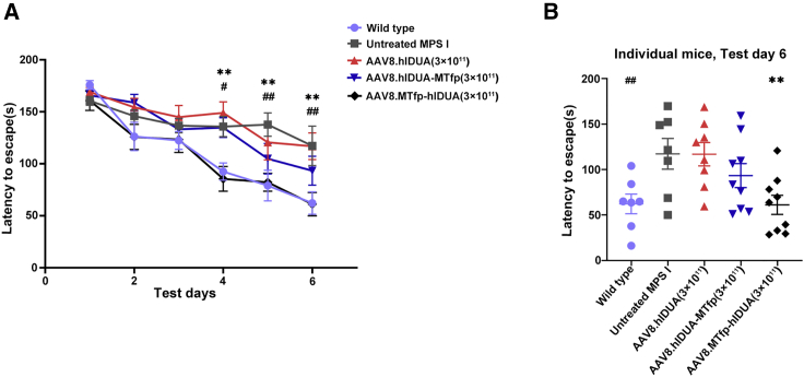 Figure 6