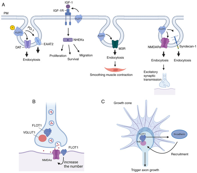 Figure 2.